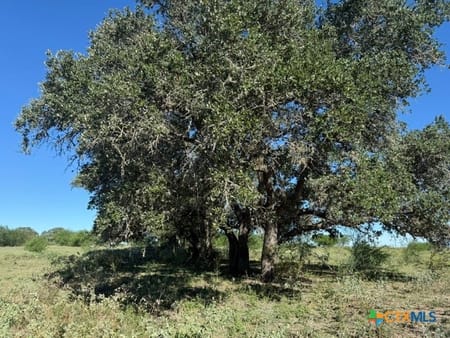 Yoakum, TX 77995 Lavaca County