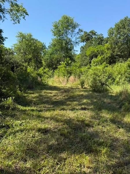 Greenville, TX 75401 Hunt County