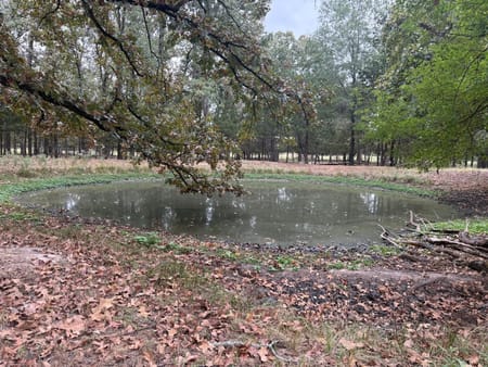 Paris, TX 75462 Lamar County