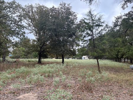 Paris, TX 75462 Lamar County