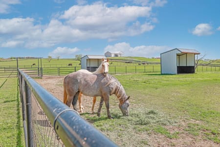 Sanger, TX 76266 Denton County