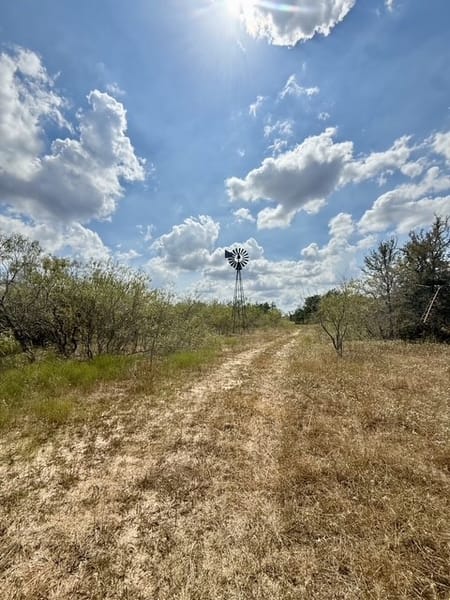 Flatonia, TX 78941 Fayette County