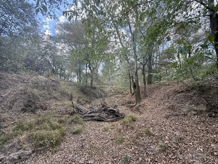 Flatonia, TX 78941 Fayette County
