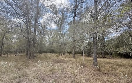 Flatonia, TX 78941 Fayette County