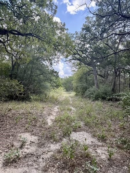 Flatonia, TX 78941 Fayette County