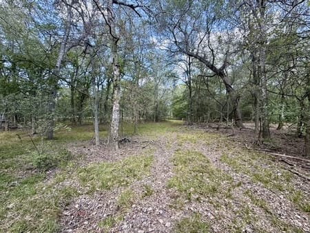 Flatonia, TX 78941 Fayette County