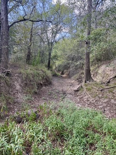 Flatonia, TX 78941 Fayette County