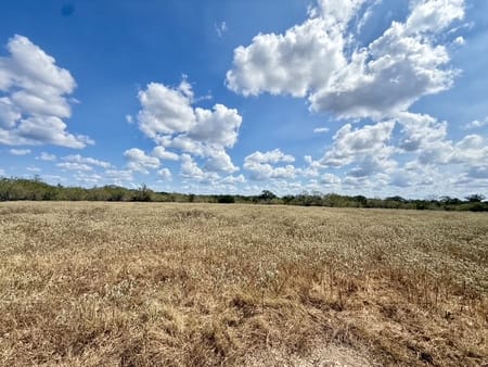 Flatonia, TX 78941 Fayette County