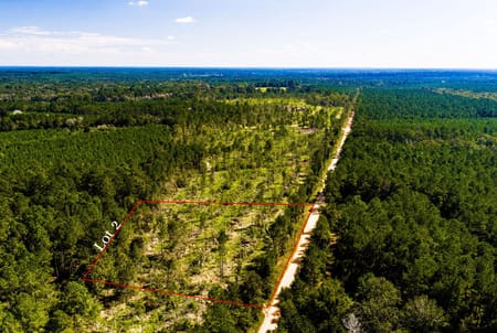 Livingston, TX 77351 Polk County