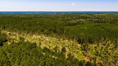Livingston, TX 77351 Polk County