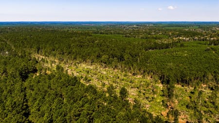 Livingston, TX 77351 Polk County