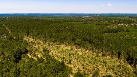 Livingston, TX 77351 Polk County