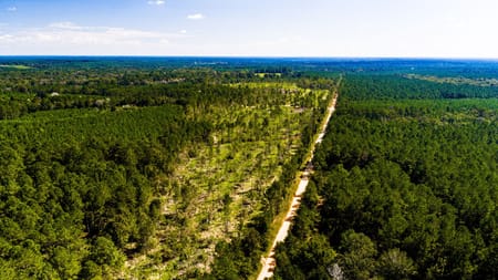 Livingston, TX 77351 Polk County