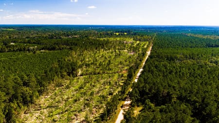 Livingston, TX 77351 Polk County