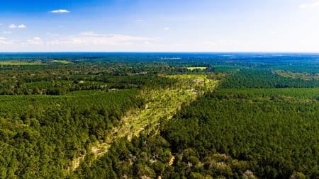 Livingston, TX 77351 Polk County