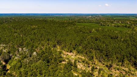Livingston, TX 77351 Polk County
