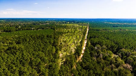 Livingston, TX 77351 Polk County