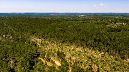 Livingston, TX 77351 Polk County