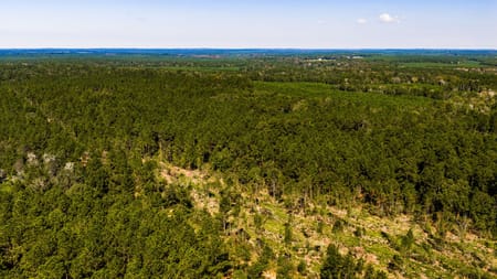 Livingston, TX 77351 Polk County