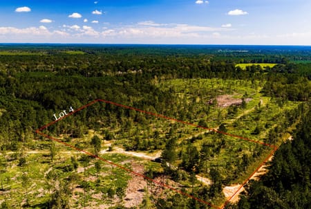 Livingston, TX 77351 Polk County