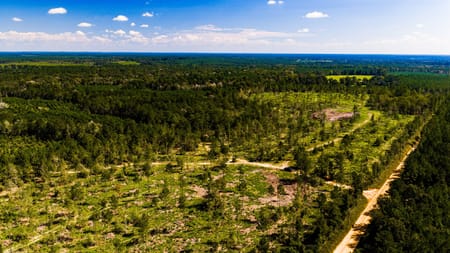 Livingston, TX 77351 Polk County
