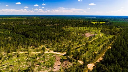 Livingston, TX 77351 Polk County