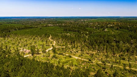 Livingston, TX 77351 Polk County