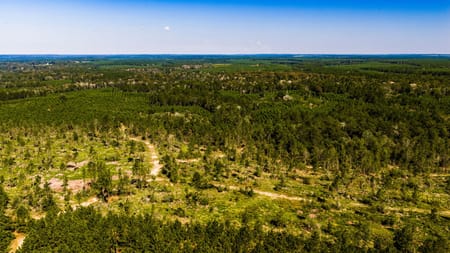 Livingston, TX 77351 Polk County