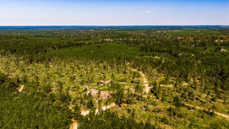 Livingston, TX 77351 Polk County