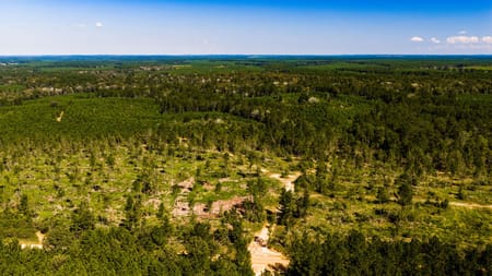 Livingston, TX 77351 Polk County