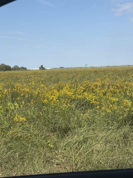Dayton, TX 77535 Liberty County