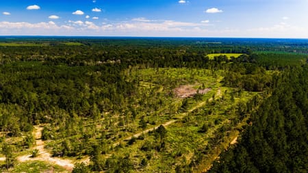 Livingston, TX 77351 Polk County