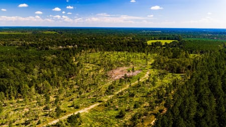 Livingston, TX 77351 Polk County