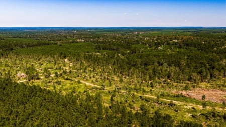 Livingston, TX 77351 Polk County