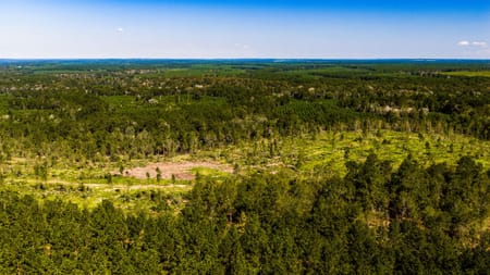 Livingston, TX 77351 Polk County