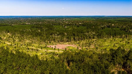 Livingston, TX 77351 Polk County