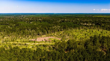 Livingston, TX 77351 Polk County