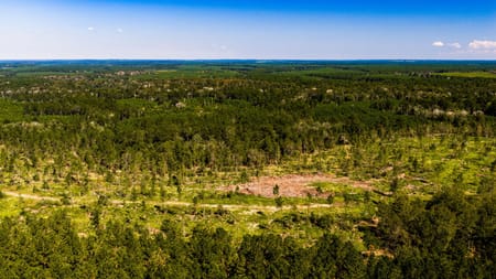Livingston, TX 77351 Polk County