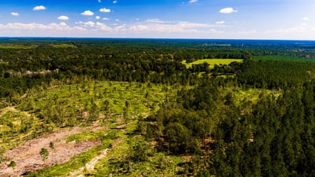Livingston, TX 77351 Polk County