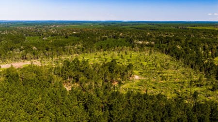 Livingston, TX 77351 Polk County