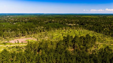 Livingston, TX 77351 Polk County