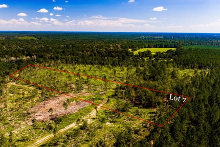 Livingston, TX 77351 Polk County
