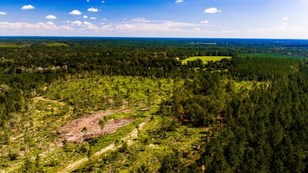 Livingston, TX 77351 Polk County