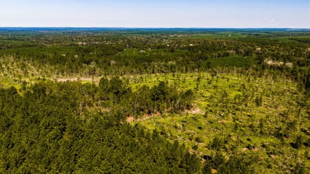 Livingston, TX 77351 Polk County