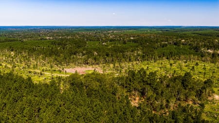 Livingston, TX 77351 Polk County