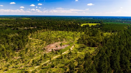 Livingston, TX 77351 Polk County
