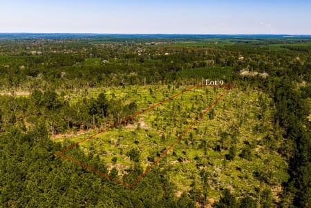 Livingston, TX 77351 Polk County