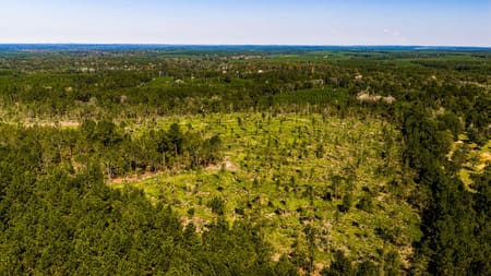 Livingston, TX 77351 Polk County