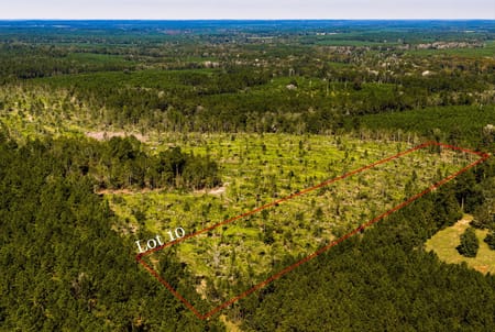 Livingston, TX 77351 Polk County
