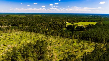Livingston, TX 77351 Polk County
